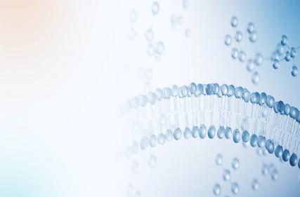 LC-MS: Mass Spectrometry-Based Analytical Chemistry Technique