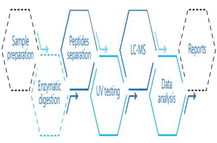 What Is Peptide Mapping Service?