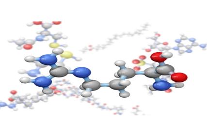 What Is the Difference Between Peptidomics Analysis and Proteomics Analysis?