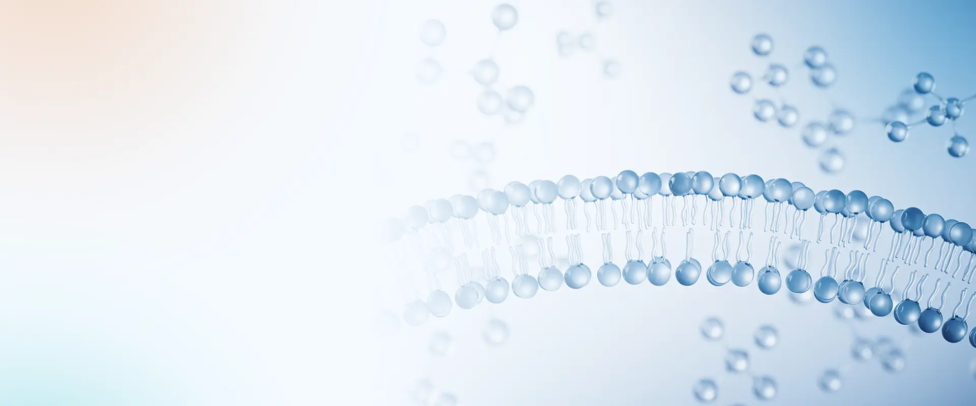 Biomarker Quantification by LC/MS