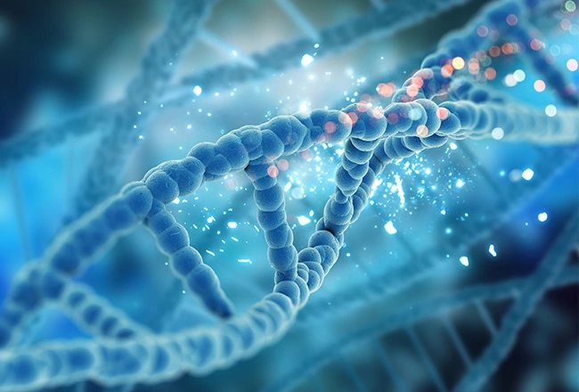 Biomarker Quantification (LC-MS)