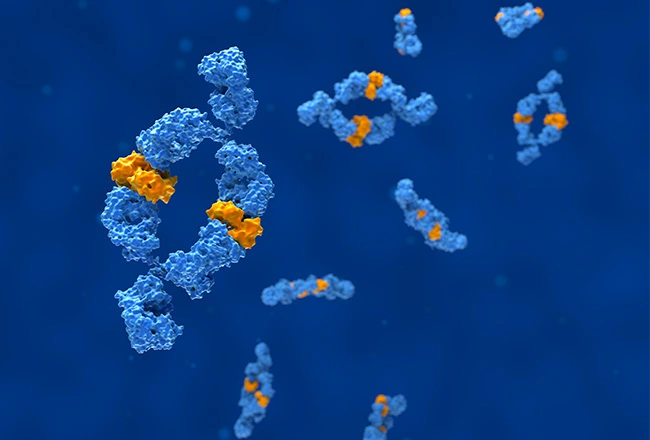 Intact Protein Analysis (LC-MS)