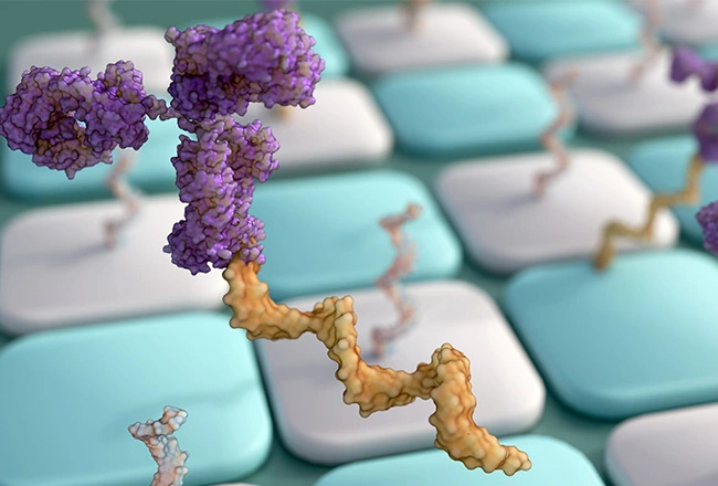 Oligonucleotide Therapeutics