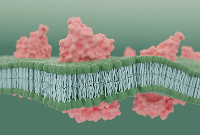 Targeted Lipidomics