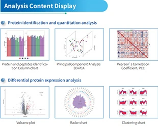 Bioinformatics Analysis