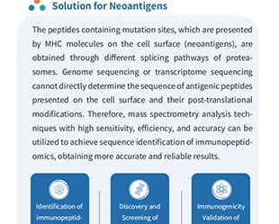 Neoantigen Therapy Discovery