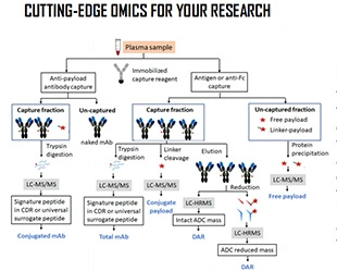 ADC Bioanalysis