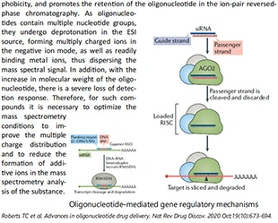 Bioanalysis Oligonucleotide Therapeutic