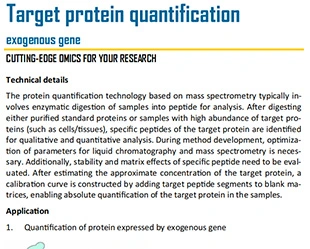 Target Protein Quantification of Exogenous Gene