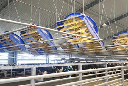 How to Control the Environment in a Modern Dairy Farm Milking Parlor: It’s About More Than Just Ventilation!