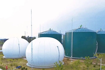 Chicken Manure Biogas Plant: Promoting Sustainable Development