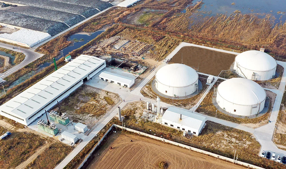 Large Scale Biogas Project